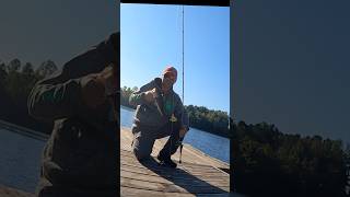 Pier fishing for bass shorts bassfishing fyp [upl. by Adim]