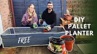 DIY Planter for FREE  Potting on our Seeds [upl. by Amara]