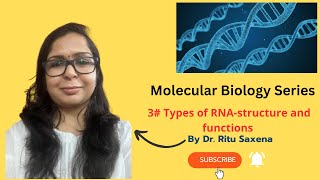 Molecular Biology Series Types of RNAstructure and functions [upl. by Ahseile]