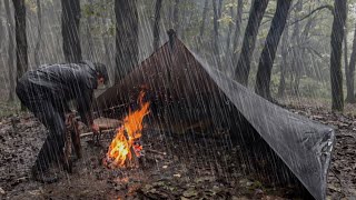 SOLO CAMPING in RAIN STORM  Relaxing in the Tent shelter ASMR [upl. by Obelia]