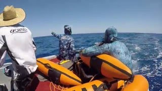 SUBMERGED Spearfishing  SPEARFISHING WEST OZ [upl. by Schuyler599]