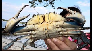 Crabbing New Jersey4th of July 2024 [upl. by Seuqirdor]