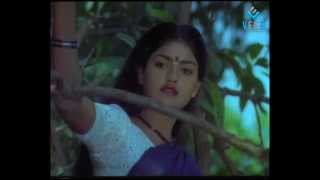 Pandi Nattu Thangam Movie Songs  Un Manasula Paattuthaan Irukkuthu Song [upl. by Errol80]