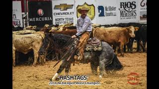 Hashtags and Tatum Rice 2018 NCHA Open World Champions [upl. by Dacie]