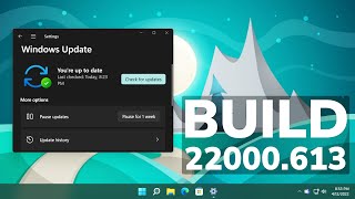 New Windows 11 Update 22000613  Memory Leaks Fixed Settings Changes and Security Improvements [upl. by Scrivings138]