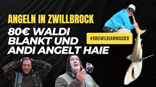 80€ Waldi ANGELT auf Forellen und Andi „angelt“ Haie Wir sind in Zwillbrock [upl. by Akienahs397]