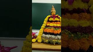 Satavahana University bathukamma 🏵️🌸🌼❣️computer science Department [upl. by Esertap453]