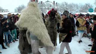 Capra si ursii datini si obiceiuri Goats and bears traditions and customs Piatra Neamt Romania [upl. by Eiznik148]