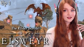 FIGHTING OUR FIRST DRAGON  LETS PLAY ESO ELSWEYR  Closed Beta Gameplay Ep 1 [upl. by Leahcimed]