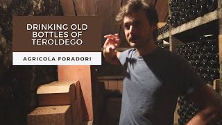 Aging the Wines of Agricola Foradori with Winemaker Theo Zierock [upl. by Ragg972]