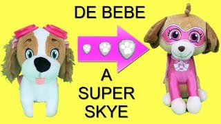 Juguetes paw patrol español bebes Skye y Chase son superheroes gracias a Shimmer y Shine [upl. by Bonar466]