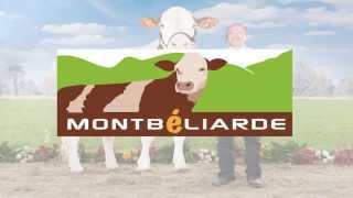 Présentation OS Montbéliarde [upl. by Ennaehr]