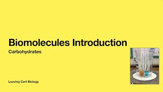 Leaving Cert BiologyBiomolecules Introduction Part 1 Carbohydrates [upl. by Tteve698]