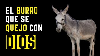 La INCREÍBLE historia del BURRO que se QUEJÓ con DIOS [upl. by Pillihpnhoj415]