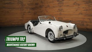 Triumph TR2  Restored  History known  1955 VIDEO wwwERclassicscom [upl. by Forta884]