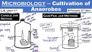 Cultivation of Anaerobes in Microbiology in hindi  L9 Unit1  B Pharma 3rd sem  Carewell Pharma [upl. by Yeblehs]