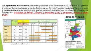 Leguminosas de Clima Templado Mesotérmicas Parte 1 [upl. by Annauj]