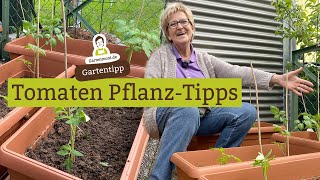 Tomaten einpflanzen Mit diesen PflanzTipps entwickeln sich deine Tomatenpflanzen optimal [upl. by Moses]