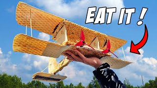 Can airplanes made of Food FLY [upl. by Anaher]