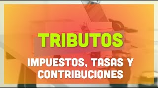 Tributos  Impuestos Tasas y Contribuciones [upl. by Adnoraj182]