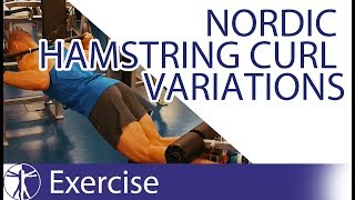 Nordic Hamstring Curl Variations  Hamstring Training [upl. by Noiztneb]