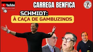 SCHMIDT ANDA À CAÇA DE GAMBUZINOS [upl. by Ibrab]