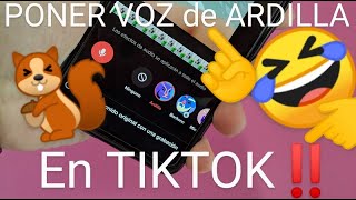 🐹📱 Como PONER VOZ de ARDILLA en TIKTOK FÁCIL y RÁPIDO EFECTO de SONIDO VOZ de ARDILLA TIKTOK [upl. by Tania]