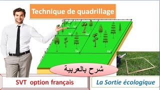 Technique de quadrillage  sortie écologique svt tronc commun science option français شرح بالعربية [upl. by Launce986]