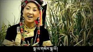 tseten dolma tibet song jampa dolma yo [upl. by Vanzant]