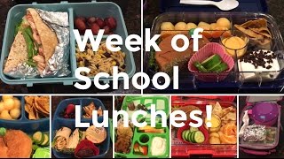 School Lunches For The Week  March 2017  Bento Lunch Using Yumbox Tapas Panino and Sistema [upl. by Odnalref]