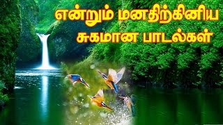 என்றும் இனிமையான மெலடி கானங்கள் Vol5 MP3Evergreen Tamil SongsIllayaraja Melody Hits Part5 [upl. by Atibat]