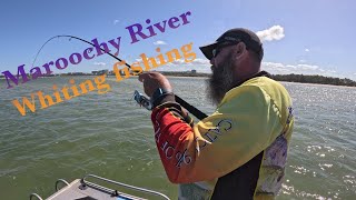 Catching WHITING in the Maroochy River  Sunshine Coast [upl. by Delila]