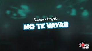 Química Perfecta  No Te Vayas Video Lyric [upl. by Heins]