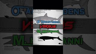 Mosasaurus hoffmanni VS Otodus Angustidens 1v1 prehistoricanimals edit [upl. by Alakim]