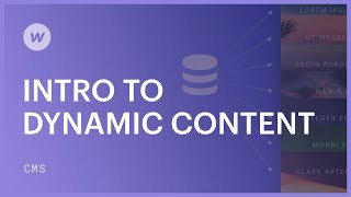 Dynamic content for beginners  Webflow CMS tutorial [upl. by Barthol]
