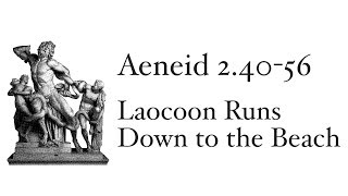 Aeneid Book 24056 Laocoon Runs Down to the Beach [upl. by Accisej]