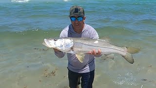 Pescando en la Playa de Miami Beach con seguidores de mi canal [upl. by Amelina]