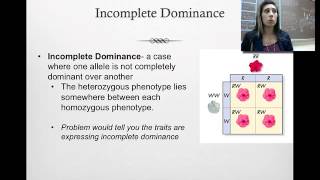 Incomplete Dominance Codominance and Polygenic Genetics [upl. by Alroy]