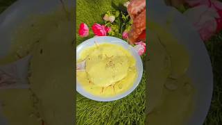 rabdi recipe with condensed milk rabdi recipe at home  shorts viral youtubeshorts [upl. by Anauqahs89]