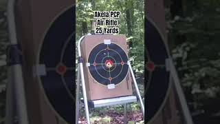 Akela PCP Air Rifle 25 Yards [upl. by Gavini519]