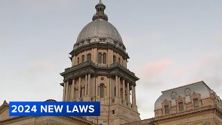 New laws Illinois 2024 Minimum wage increase ban on book bans and more [upl. by Bronez]