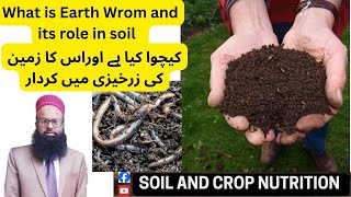 Earth Worm and its roel in soilSoil And Crop Nutrition کیچوا اور اس کا زمین میں کردار [upl. by Rosio]