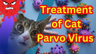 Diagnose and Treat Feline Panleukopenia Virus FPV Tips to Save Your Cats Life [upl. by Ellac354]