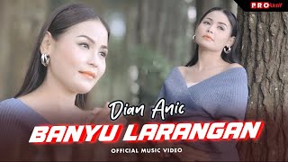 REBUTAN LANANG  DIAN ANIC 2016 Video Clip Original [upl. by Duester54]