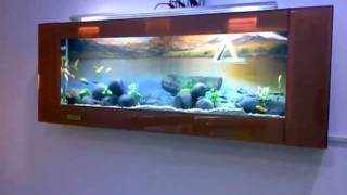 Aquarium Design India Plasma aquarium design JabbarchennaiIndia [upl. by Esinart]