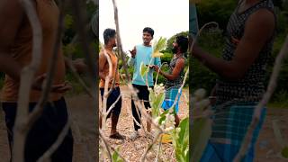 Pothayal Vettai Sothanai  Tamil Comedy  Lottai comedy shortsfeed shorts 2 [upl. by Enymsaj145]