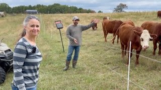 Our FULL Homestead Morning Chore Routine [upl. by Elladine]