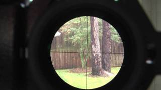 Video Scoping through a Rifle Scope [upl. by Joung738]