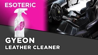 Gyeon Leather Cleaner Review  ESOTERIC Car Care [upl. by Wilsey]