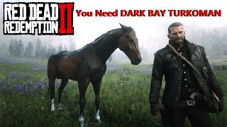 RDR2 • All Turkoman Horse Colors and Locations • Red Dead Redemption 2 [upl. by Elatsyrc740]